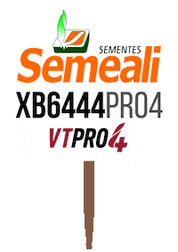 Semeali Sticker by semealisementes