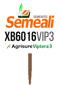 Semeali Sticker by semealisementes