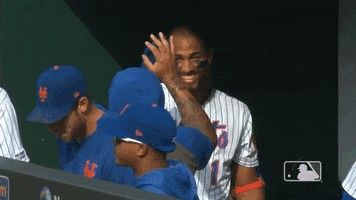 High Five Ny Mets GIF by New York Mets