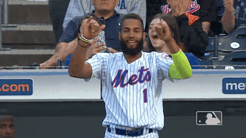 happy ny mets GIF by New York Mets
