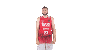 Geben Liga Endesa Sticker by ACB
