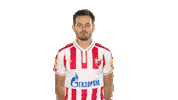 Red Star Football Sticker by FK Crvena zvezda