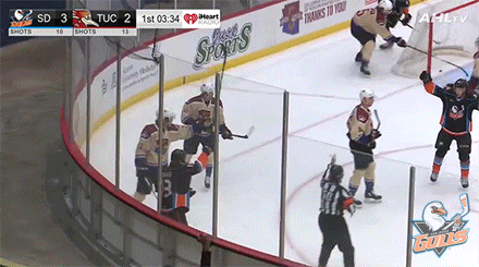 Celebrate Anaheim Ducks GIF by San Diego Gulls