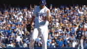 Los Angeles Dodgers Sport GIF by MLB