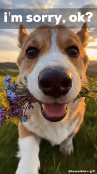 Forgive Me Love GIF