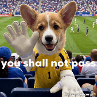 Soccer No GIF
