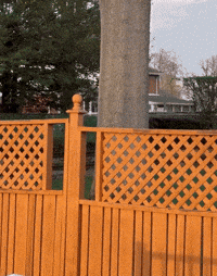 Shocked Hip Hop GIF