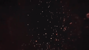 music video love GIF by Shawn James