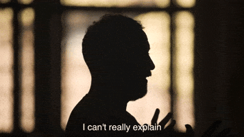 Venice2Venice crypto nft mystery explain GIF