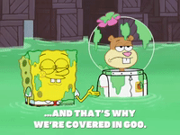 season 8 GIF by SpongeBob SquarePants