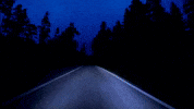 Ashes To Ashes Bible GIF