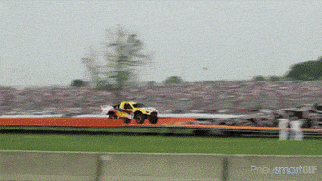 GIF by Okkult Motion Pictures