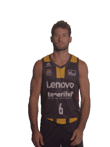 Liga Endesa Ok Sticker by ACB