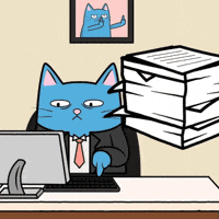 Frustrated Cat GIF