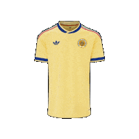 World Cup Cura Sticker by Curacao FTW