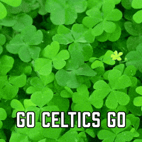 GO CELTICS GO
