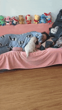 madmoizelledotcom  GIF