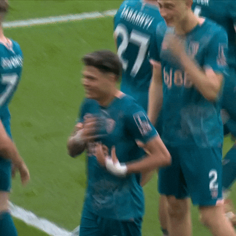 Happy Premier League GIF by AFC Bournemouth