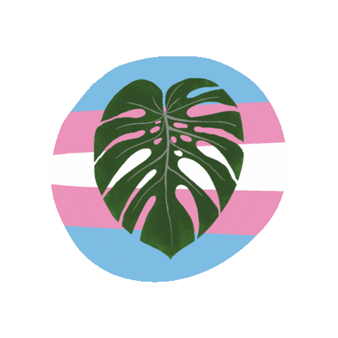Queer Trans Sticker