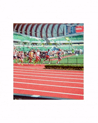 New Mexico Lobos GIF by Boston College Women's Lacrosse