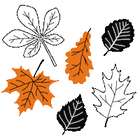 Fall Orange Sticker