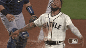 Lets Go Sport GIF by MLB