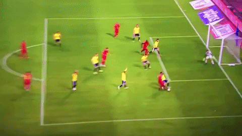 ducchelsea giphyupload miss belgium lukaku GIF