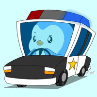 Car Penguin GIF by Pudgy Penguins