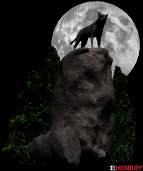 wolf pack night crue GIF by FirstAndMonday
