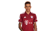 No Way Omg Sticker by Bundesliga