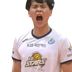 Go Wild Stars Sticker by kovopr