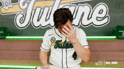College Baseball Lambert GIF by GreenWave