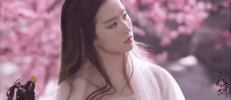 liu yi fei san sheng san shi shi li tao hua GIF