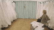 bbc season 4 wedding bbc bride GIF
