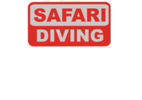 SafariDiving giphyupload dive diving scuba Sticker