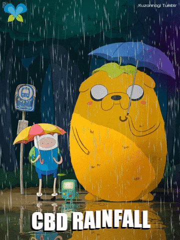 Raining Adventure Time GIF by Imaginal Biotech