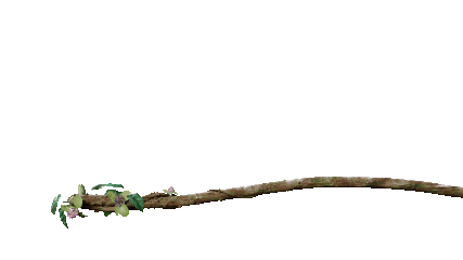 China 3D Sticker by SKEMA Business School