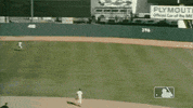 World Series Sport GIF by New York Mets