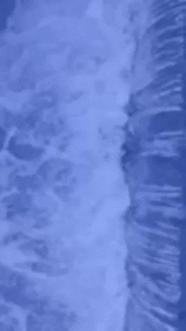 Simongip giphygifmaker GIF