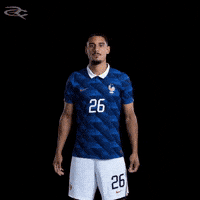France Uefa GIF by Respective