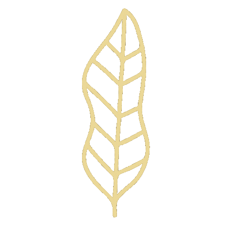 Flowers Flores Sticker