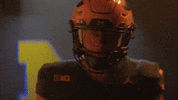 Go Blue Michigan Football GIF by Michigan Athletics