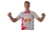 Happy Football Sticker by RB Leipzig
