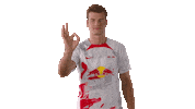 Football Ok Sticker by RB Leipzig