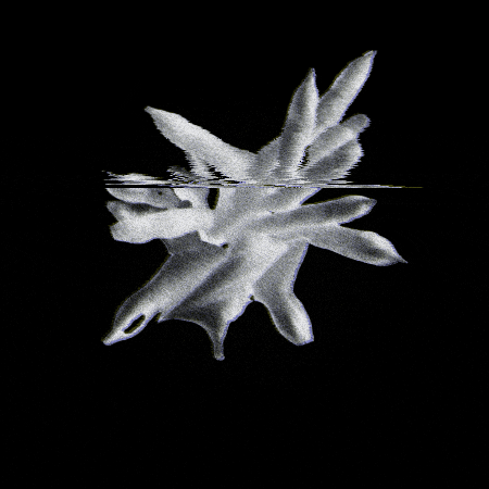 ilmio giphygifmaker GIF