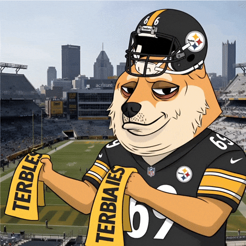 Pittsburgh Steelers Football GIF by Doge Pound
