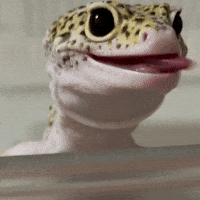 Byomid GIF