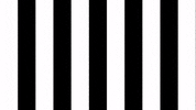 Celebration Goal GIF by SK Sturm Graz