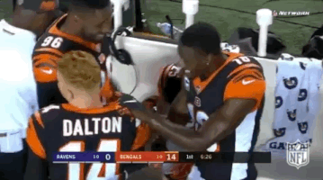 2018 Nfl Football GIF by NFL