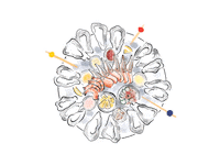 Pineapple Martini Sticker by Vandelay Hospitality Group